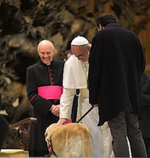 El Papa Bergoglio acaricia al perro guía <br>de un periodista ciego.