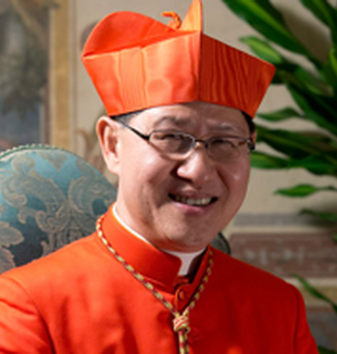 El cardenal Luis Antonio Tagle.