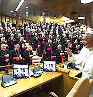 El Papa Francisco en el Sínodo de la Familia.