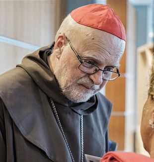 El cardenal Anders Arborelius