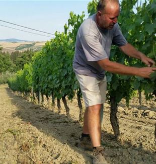 Francesco Zarpellon entre los viñedos de Mocine